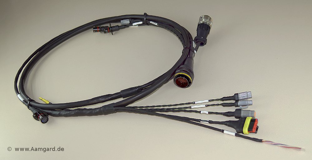 wiring loom with Superseal, DTM and Autosport connectors